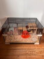 Hamsterkooi in goede staat met onderaan veiligheids glas., Ophalen, Gebruikt, Kooi