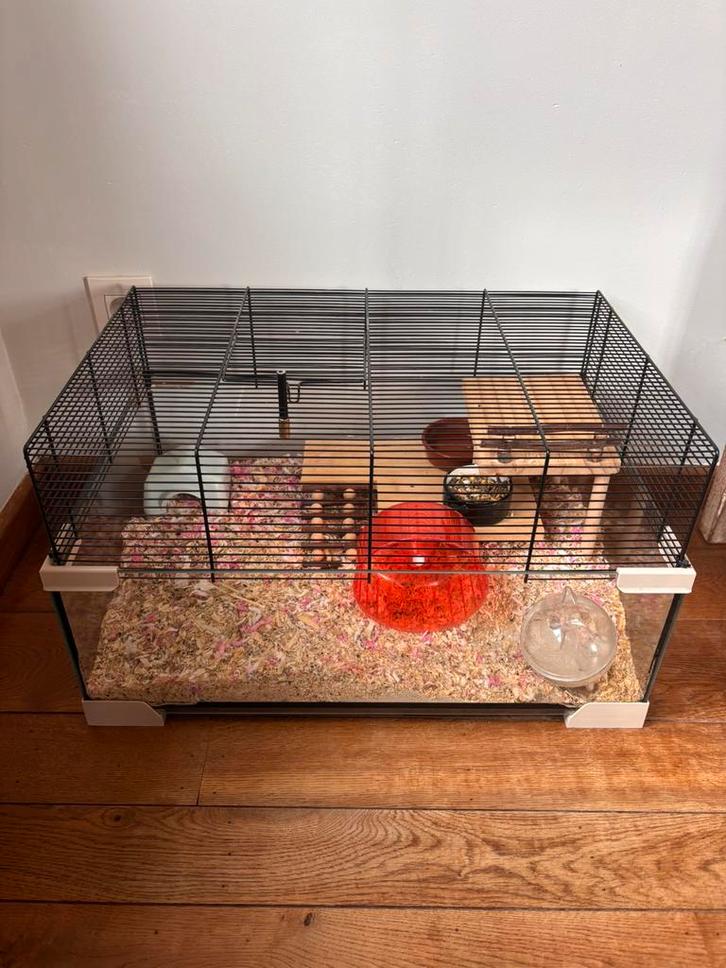 Hamsterkooi in goede staat met onderaan veiligheids glas., Dieren en Toebehoren, Knaagdieren en Konijnen | Hokken en Kooien, Gebruikt