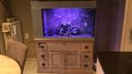 Aquarium 400 liter inclusief kast in Teak, Ophalen, Gebruikt