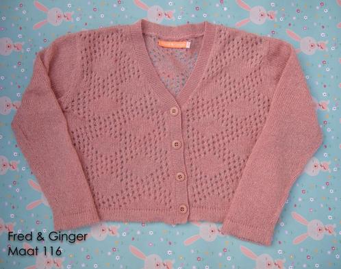 Cardigan Fred & Ginger roze mohair - Maat 116 NIEUW, Enfants & Bébés, Vêtements enfant | Taille 116, Neuf, Fille, Pull ou Veste