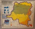 Kaart Congo mijnbouw en planten, Livres, Atlas & Cartes géographiques, Enlèvement, Comme neuf, France