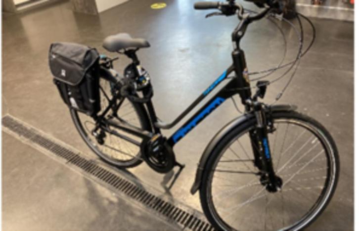 Damesfiets Thompson in top staat/nauwelijks gebruikt, Fietsen en Brommers, Fietsen | Dames | Damesfietsen, Zo goed als nieuw, Ophalen