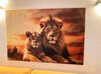 Canvas schilderij 150x100cm (nieuw)️, Ophalen