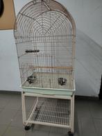 Vogel/Papegaai kooi, Dieren en Toebehoren, Ophalen, Zo goed als nieuw, Vogelkooi