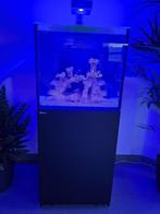 Aquarium marin 200L Red Sea Reefer 200 G2+ Deluxe complet, Ophalen, Zo goed als nieuw, Gevuld zeewateraquarium