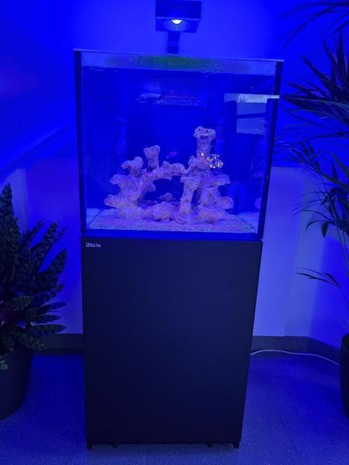 Aquarium marin 200L Red Sea Reefer 200 G2+ Deluxe complet, Dieren en Toebehoren, Vissen | Aquaria en Toebehoren, Zo goed als nieuw