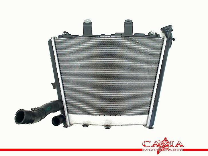 RADIATEUR EAU S 1000 R 2021-2023 (S1000R K63) (8356804-05), Motos, Pièces | BMW, Utilisé