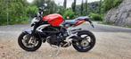 MV BRUTAAL 800, Motoren, Motoren | MV Agusta, 3 cilinders, Particulier, Meer dan 35 kW, 800 cc