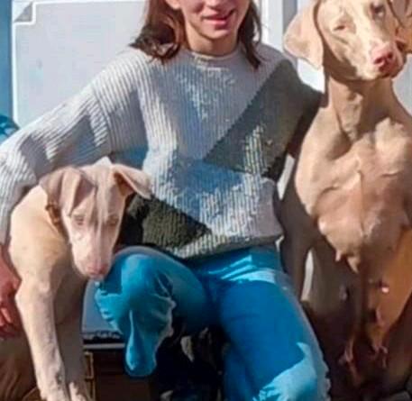Witte Dobermann, Dieren en Toebehoren, Honden | Bulldogs, Pinschers en Molossers, Meerdere dieren, Overige rassen, Fokker | Hobbymatig