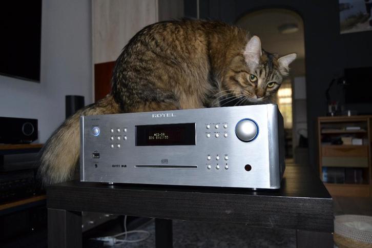 Rotel, TV, Hi-fi & Vidéo, Amplificateurs & Ampli-syntoniseurs, Stéréo, Enlèvement