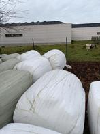 4 ronde ballen voordroog ., Dieren en Toebehoren