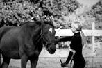 Grondwerk/coaching/rijlessen, Dieren en Toebehoren