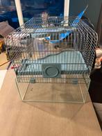 Hamster kooi, Dieren en Toebehoren, Ophalen, Zo goed als nieuw, Kooi, Hamster