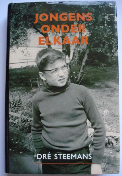 Jongens onder elkaar Dré Steemans 2006 Felice Damiano gay in, Boeken, Film, Tv en Media, Zo goed als nieuw, Personen, Verzenden