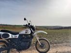 Mash x ride 650, Motoren, Motoren | Mash, Particulier