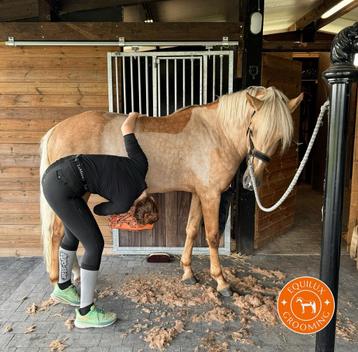 Scheren van paarden en pony’s