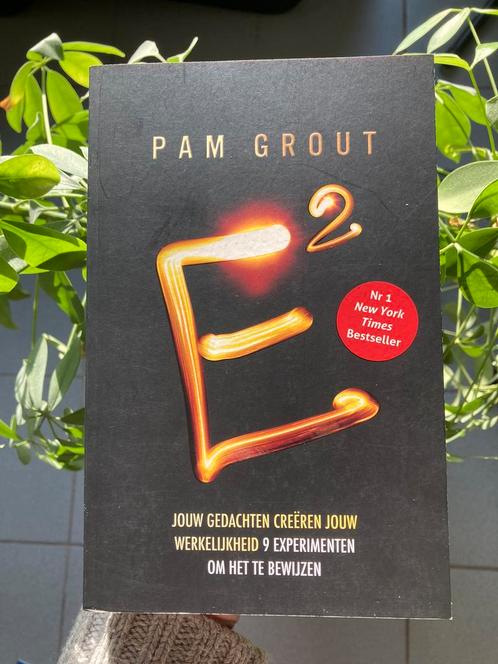 Boek Pam Grout E2 / E kwadraat, Livres, Ésotérisme & Spiritualité, Comme neuf, Enlèvement ou Envoi