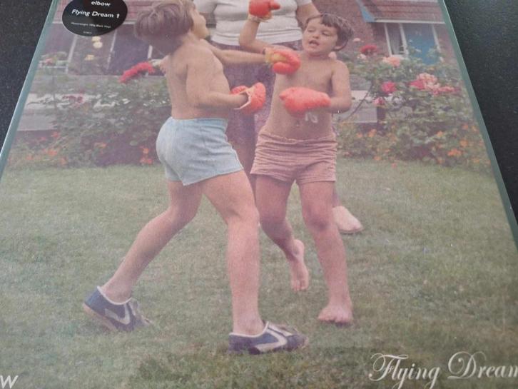 INDIE ROCK / ALTERNATIVE ROCK  NEW & SEALED RECORDS VINYL, CD & DVD, Vinyles | Rock, Neuf, dans son emballage, Alternatif, 12 pouces