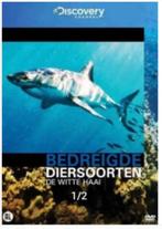 Bedreigde diersoorten - De witte haai, Ophalen of Verzenden