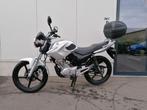 Yamaha YBR 125 cc EINDEJAARSKORTING!, Entreprise, 1 cylindre, Naked bike, 125 cm³