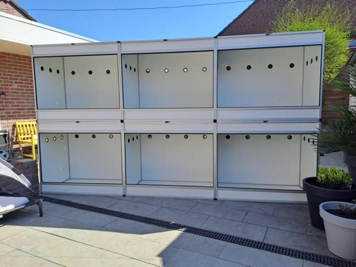 PVC Terrarium op maat, Dieren en Toebehoren, Reptielen en Amfibieën | Toebehoren, Nieuw, Terrarium of Paludarium, Ophalen