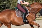 Ikonic springzadel TE KOOP, Dieren en Toebehoren, Paarden en Pony's | Zadels, Ophalen, Zo goed als nieuw