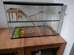 Hamsterkooi, Dieren en Toebehoren, Ophalen, Gebruikt, Kooi, Hamster