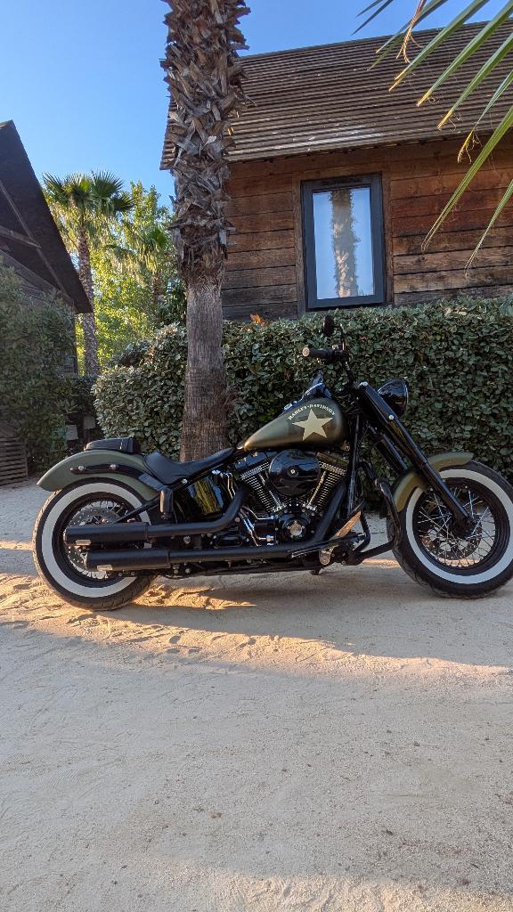 Harley Davidson Softail Slim S, Motoren, Motoren | Harley-Davidson, Particulier, meer dan 35 kW, 2 cilinders, Motorrijbewijs A