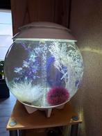 BiOrb aquarium 30 liter, Dieren en Toebehoren, Ophalen, Gebruikt, Leeg aquarium