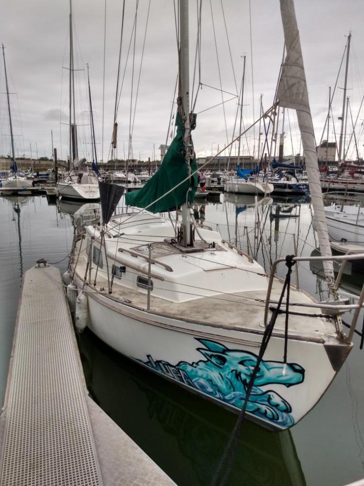 Zeilboot Albin Vega 27 "Lupa", Watersport en Boten, Kajuitzeilboten en Zeiljachten, Gebruikt, Tourjacht of Cruiser, Polyester