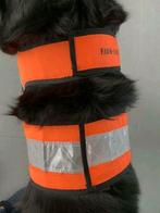 Fluohesje voor de hond - reflecterende vest - fluovest, Ophalen of Verzenden, Zo goed als nieuw
