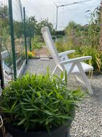 Grote pot van 45 cm diameter laagblijvende bamboe., Tuin en Terras, Ophalen, Zo goed als nieuw