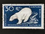 RDA 1956 - ours polaire - Zoo Berlin, Timbres & Monnaies, Animal et Nature, Affranchi, Enlèvement ou Envoi