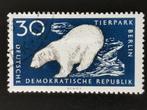 DDR 1956 - ijsbeer - Zoo Berlijn, Ophalen of Verzenden, Gestempeld, Dier of Natuur