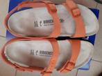 Sandalen Birkenstock ongebruikt- ma41-koraal rood-echt leer, Kleding | Dames, Schoenen, Ophalen, Nieuw, Sandalen of Muiltjes, Rood