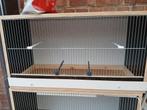 Iemand die interesse heeft in deze kweek kooien voor vogels, Dieren en Toebehoren, Vogels | Hokken en Kooien, Ophalen, Nieuw, Hout