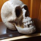 Schedel steen, Antiek en Kunst, Curiosa en Brocante, Ophalen of Verzenden