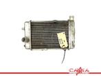 RADIATEUR Aprilia RSV 1000 (R) Mille 1998-2003 (RSV1000), Motoren, Onderdelen | Overige, Gebruikt