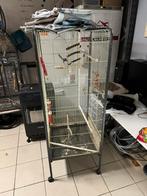 Papegaai kooi te koop, Dieren en Toebehoren, Ophalen, Zo goed als nieuw