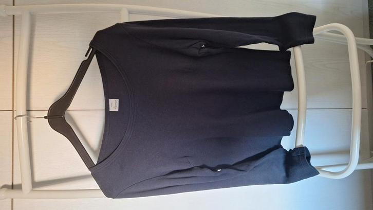 Dames zwart topje lange mouwen maat 44-46., Kleding | Dames, Topjes, Gedragen, Maat 42/44 (L), Zwart, Lange mouw, Ophalen of Verzenden