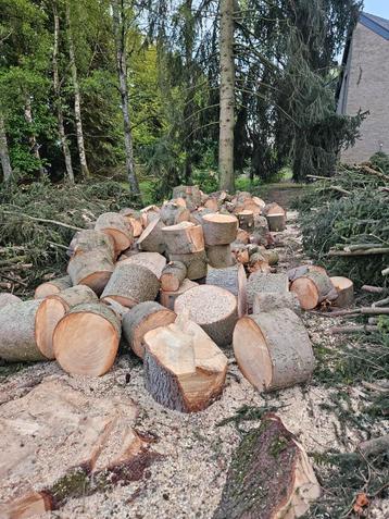 Bois de sapin (gros rondins et branches) beschikbaar voor biedingen