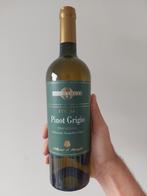 Pinot Grigrio Terre Siciliane 2019 (6 flessen), Ophalen of Verzenden, Nieuw