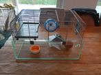 Cage d'hamster, Animaux & Accessoires, Enlèvement, Cage, Hamster