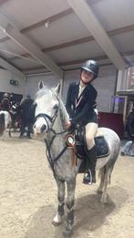 brave 4 jarige b pony, Animaux & Accessoires, Poneys, Hongre, B