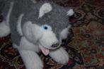 SIBERISCHE HUSKY HONDENKNUFFEL, Ophalen of Verzenden, Zo goed als nieuw, Hond