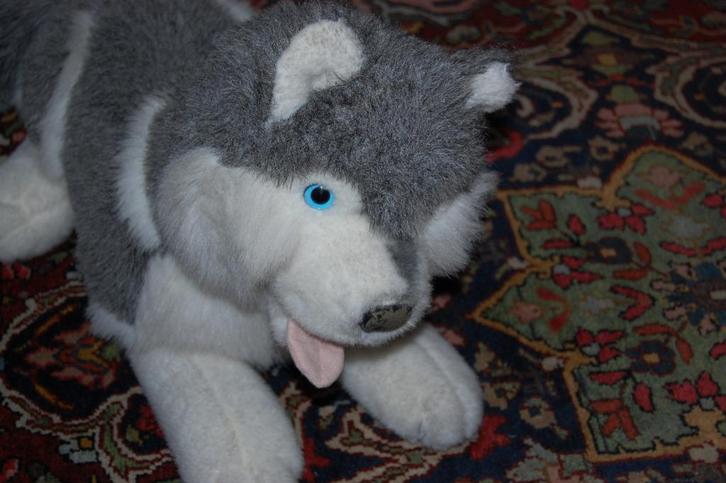 SIBERISCHE HUSKY HONDENKNUFFEL, Kinderen en Baby's, Speelgoed | Knuffels en Pluche, Zo goed als nieuw, Hond, Ophalen of Verzenden
