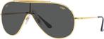 Ray-Ban  Zonnebril SNELLE GRATIS LEVERING, Zonnebril, Overige kleuren, Verzenden, Nieuw