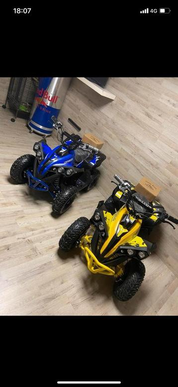 Elektrische quad 1000watt beschikbaar voor biedingen