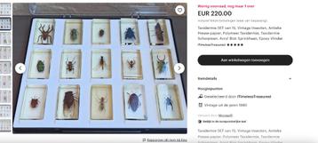 insecten verzameling  / epoxy / iets speciaals  46 stuks  beschikbaar voor biedingen