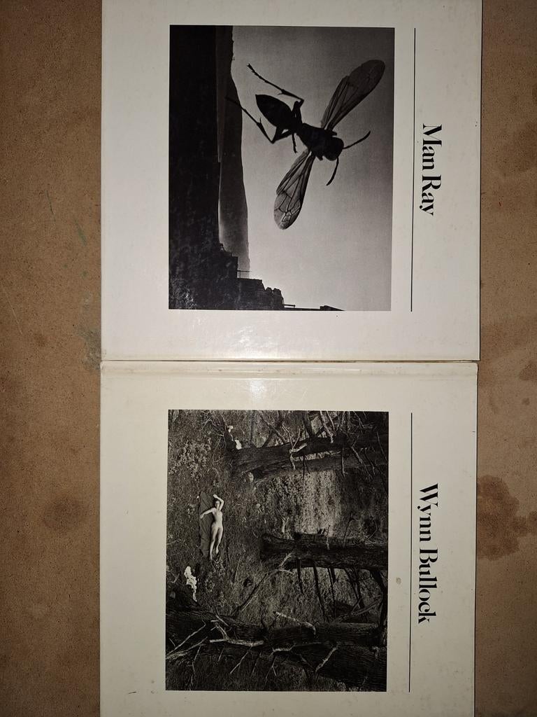 Aperture history of photography: Man Ray & Wynn Bullock, Enlèvement ou Envoi, Comme neuf